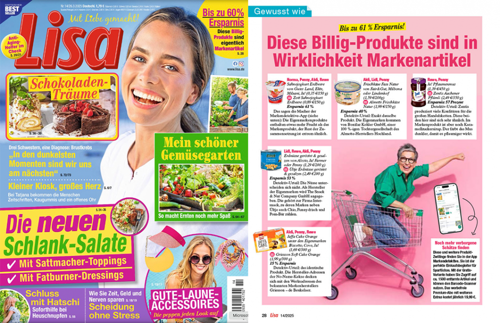 Lisa Publikation
